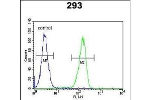 KCT2 Antibody (Center) (ABIN651775 and ABIN2840395) flow cytometric analysis of 293 cells (right histogram) compared to a negative control cell (left histogram). (KCT2 anticorps  (AA 123-150))