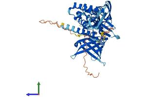AlphaFold protein structure predicition of Human Recombinant SNX31 Protein, UniprotID Q8N9S9