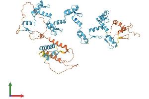 AlphaFold protein structure predicition of Human Recombinant ZNF790 Protein, UniprotID Q6PG37