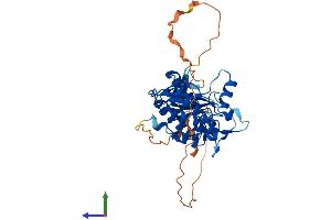 AlphaFold protein structure predicition of Mouse Recombinant Trib1 Protein, UniprotID Q8K4K4