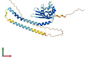 AlphaFold protein structure predicition of Human Recombinant TSPY3 Protein, UniprotID P0CV98