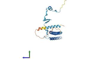 AlphaFold protein structure predicition of Mouse Recombinant Med7 Protein, UniprotID Q9CZB6