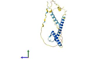 AlphaFold protein structure predicition of Mouse Recombinant Bhlha15 Protein, UniprotID Q9QYC3