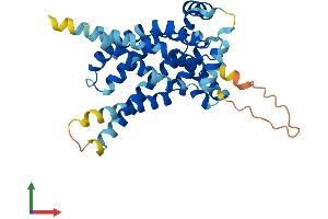 AlphaFold protein structure predicition of Mouse Recombinant Slc25a33 Protein, UniprotID Q3TZX3