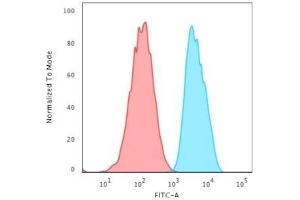 Flow Cytometric Analysis of MCF-7 cells using EpCAM Rabbit Recombinant Monoclonal Antibody (EGP40/2571R) followed by Goat anti-Mouse IgG-CF488 (Blue); Isotype Control (Red). (Recombinant EpCAM anticorps  (Extracellular Domain))