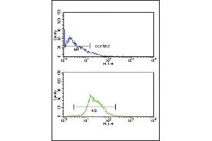 KMO Antibody (Center) (ABIN652604 and ABIN2842406) flow cytometry analysis of CEM cells (bottom histogram) compared to a negative control cell (top histogram).