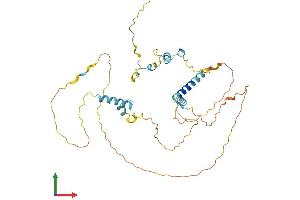 AlphaFold protein structure predicition of Human Recombinant FAM110B Protein, UniprotID Q8TC76
