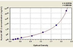 Metallothionein 2 (MT2) ELISA Kit