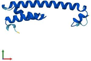 AlphaFold protein structure predicition of Mouse Recombinant Psenen Protein, UniprotID Q9CQR7