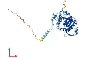 AlphaFold protein structure predicition of Human Recombinant ST8SIA1 Protein, UniprotID Q92185