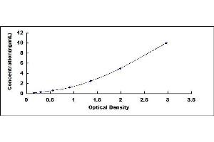 Typical standard curve