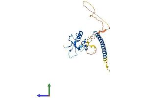 AlphaFold protein structure predicition of Human Recombinant THAP3 Protein, UniprotID Q8WTV1
