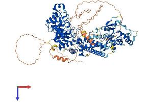 AlphaFold protein structure predicition of Mouse Recombinant Oga Protein, UniprotID Q9EQQ9