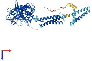 AlphaFold protein structure predicition of Mouse Recombinant Atl1 Protein, UniprotID Q8BH66