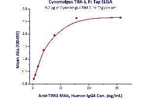 Immobilized Cynomolgus TIM-3, Fc Tag (ABIN5526613,ABIN5526614) at 2 μg/mL (100 μL/well) can bind A Mab, Human IgG4 with a linear range of 0.