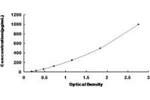 Typical standard curve (Cathepsin Z Kit ELISA)
