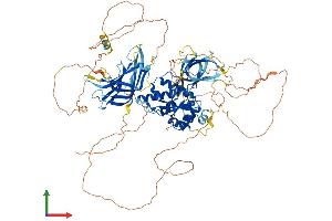 AlphaFold protein structure predicition of Human Recombinant PACS2 Protein, UniprotID Q86VP3