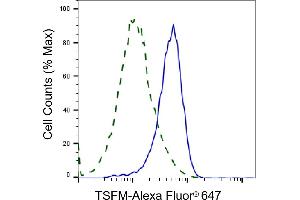 Validation of TSFM knockdown using flow cytometry. (Recombinant TSFM anticorps)