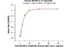 Immobilized Human NCAM-1, Fc Tag (ABIN6973166) at 1 μg/mL (100 μL/well) can bind A-1 Antibody, Human IgG1 with a linear range of 0.