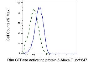 Validation of Rho GTPase activating protein 5 knockdown using flow cytometry. (Recombinant ARHGAP5 anticorps)