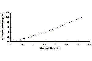 Dimethylarginine Dimethylaminohydrolase 1 (DDAH1) ELISA Kit