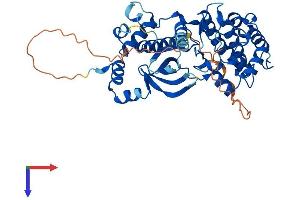 AlphaFold protein structure predicition of Mouse Recombinant Nim1k Protein, UniprotID Q8BHI9