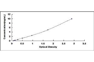 Typical standard curve (METRN Kit ELISA)