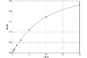 A typical standard curve