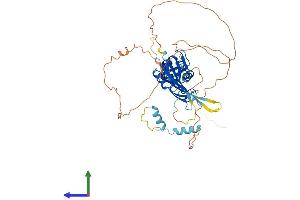 AlphaFold protein structure predicition of Mouse Recombinant Kctd8 Protein, UniprotID Q50H33