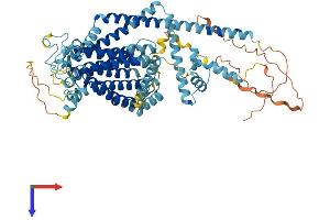 AlphaFold protein structure predicition of Human Recombinant TMC8 Protein, UniprotID Q8IU68