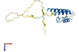 AlphaFold protein structure predicition of Human Recombinant PPP1R14D Protein, UniprotID Q9NXH3