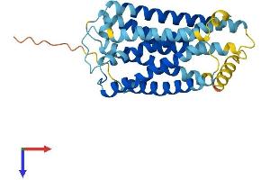 AlphaFold protein structure predicition of Human Recombinant GPR141 Protein, UniprotID Q7Z602