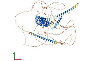 AlphaFold protein structure predicition of Human Recombinant CLOCK Protein, UniprotID O15516