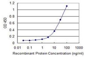Detection limit for recombinant GST tagged UNC13D is 0. (UNC13D anticorps  (AA 2-100))