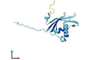 AlphaFold protein structure predicition of Mouse Recombinant Rpp14 Protein, UniprotID Q9CQH8