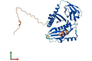 AlphaFold protein structure predicition of Human Recombinant MRPL39 Protein, UniprotID Q9NYK5