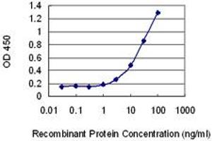 Detection limit for recombinant GST tagged ORC1L is 0. (ORC1 anticorps  (AA 1-110))
