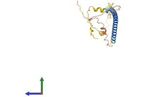AlphaFold protein structure predicition of Mouse Recombinant Tex35 Protein, UniprotID Q14BK3
