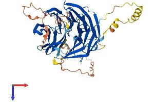 AlphaFold protein structure predicition of Human Recombinant WIPI2 Protein, UniprotID Q9Y4P8