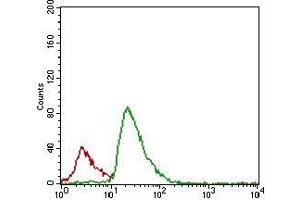Flow cytometric analysis of JURKAT cells using CFLAR mouse mAb (green) and negative control (red).
