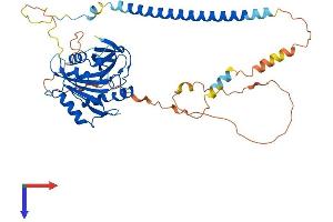 AlphaFold protein structure predicition of Mouse Recombinant Dbnl Protein, UniprotID Q62418