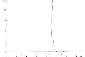 The purity of Human Serpin F1/PEDF is greater than 95 % as determined by SEC-HPLC. (PEDF Protein (AA 20-418) (His tag))