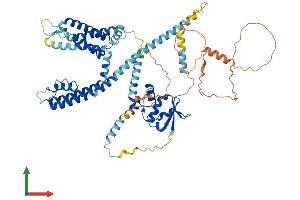 AlphaFold protein structure predicition of Human Recombinant KCND2 Protein, UniprotID Q9NZV8