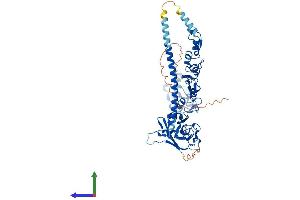AlphaFold protein structure predicition of Human Recombinant TRAF6 Protein, UniprotID Q9Y4K3