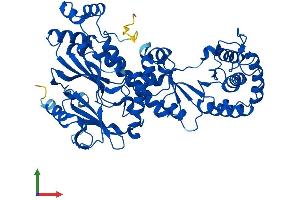 AlphaFold protein structure predicition of Mouse Recombinant Naprt Protein, UniprotID Q8CC86