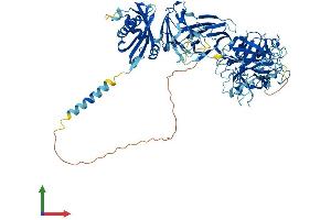 AlphaFold protein structure predicition of Mouse Recombinant Tmprss6 Protein, UniprotID Q9DBI0