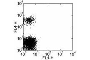 Image no. 2 for anti-Fc Fragment of IgE, Low Affinity II, Receptor For (CD23) (FCER2) antibody (FITC) (ABIN474793)
