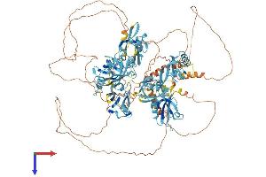 AlphaFold protein structure predicition of Human Recombinant GRIP1 Protein, UniprotID Q9Y3R0