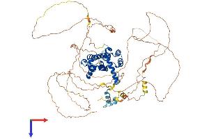 AlphaFold protein structure predicition of Human Recombinant TAGAP Protein, UniprotID Q8N103