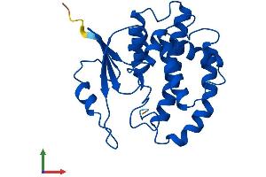 AlphaFold protein structure predicition of Human Recombinant GSTM3 Protein, UniprotID P21266